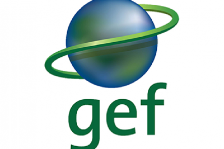 https://www.thegef.org